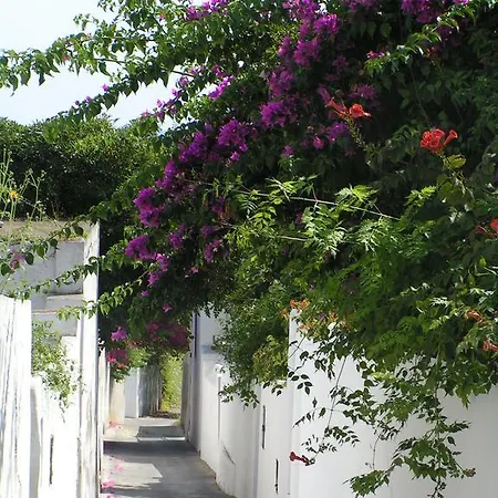 Ginestra Sulla Di Holiday home